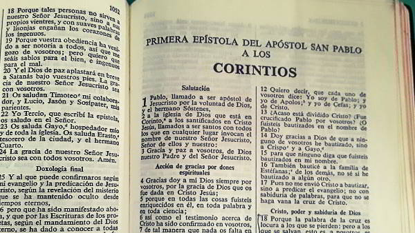 Biblia Reina Valera con Números Strong