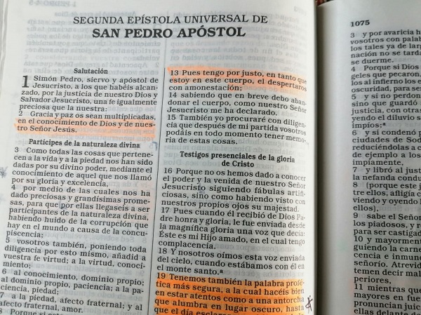 Nueva Biblia Latinoamericana de hoy