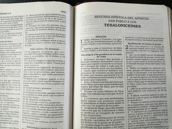 Biblia Nueva Versión Internacional