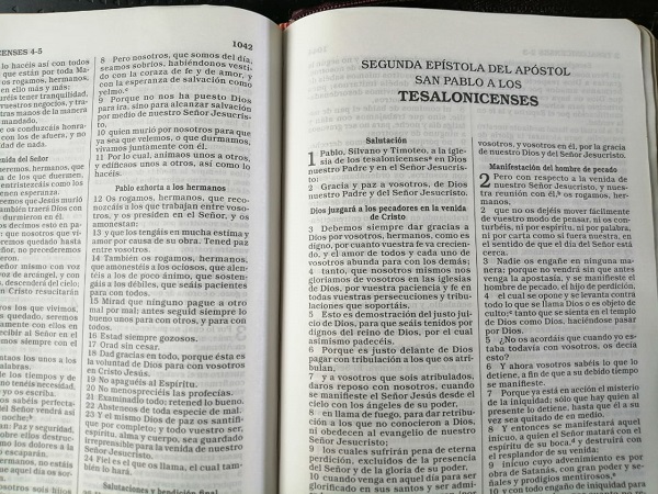 Biblia Reina Valera con Números Strong