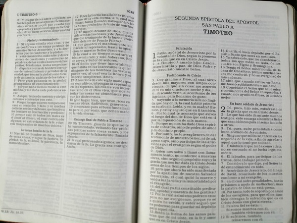 Biblia Versión Moderna de H.B. Pratt (19