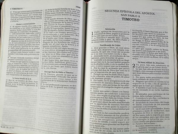 Biblia Reina Valera con Números Strong