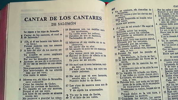 Biblia Nueva Versión Internacional