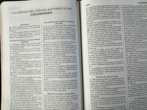 Biblia Nueva Traducción Viviente