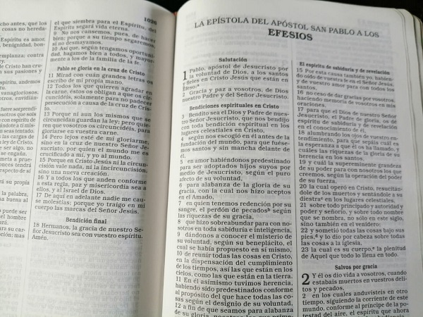 Biblia de las Américas