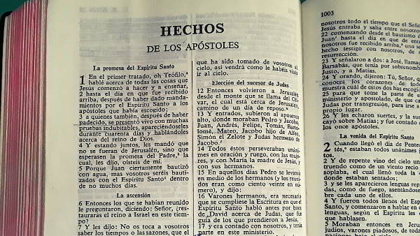 Biblia Reina Valera con Números Strong