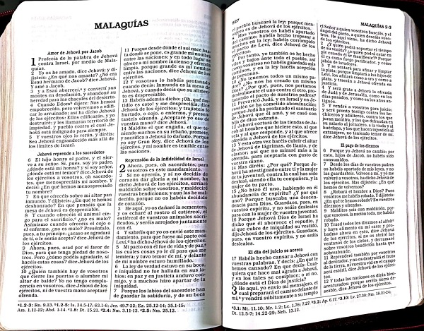 Biblia Nueva Versión Internacional