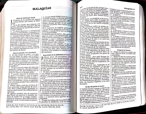 La Biblia del Jubileo