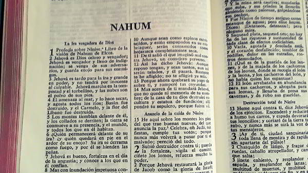 Biblia Textutal