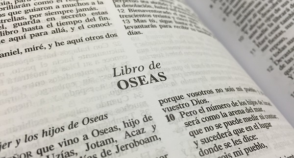 Biblia de las Américas