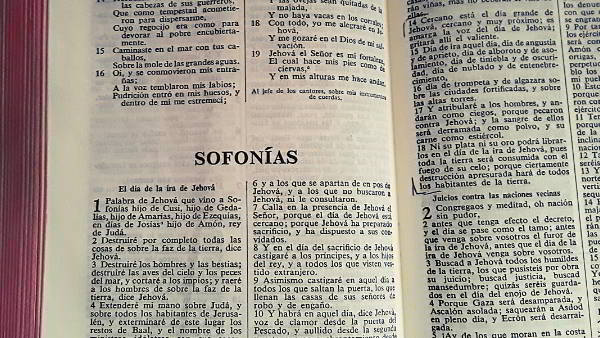 Biblia Nueva Versión Internacional