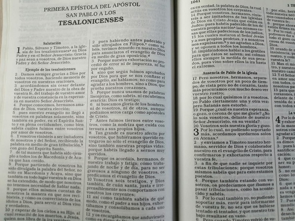 Biblia de las Américas