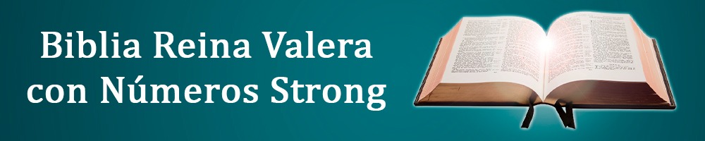 Biblia Reina Valera con Números Strong